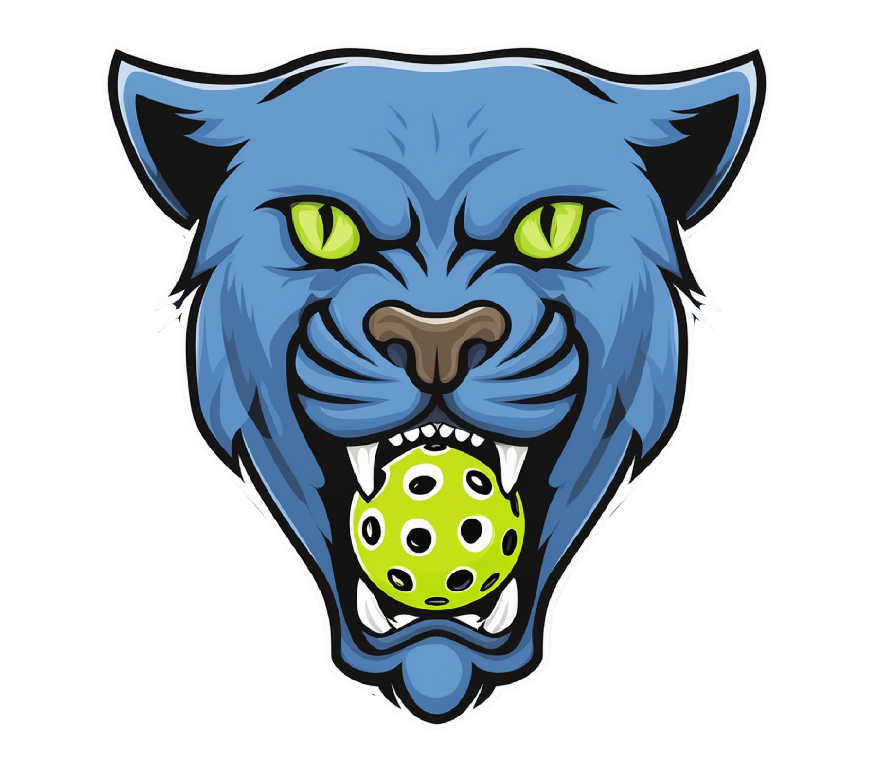 Panther City Pickleball